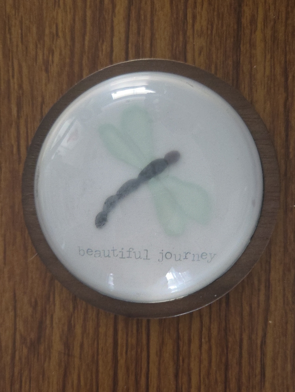 Demdaco White and Light Green Dragonfly Paperweight